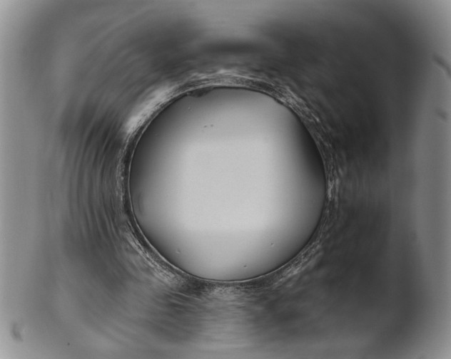 X0000100780341200807101821