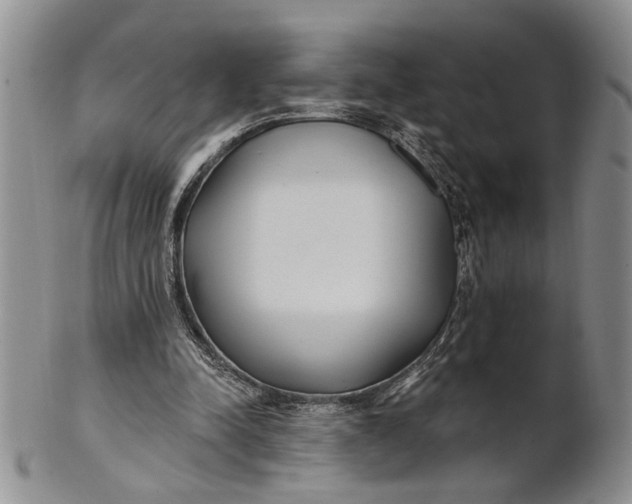 X0000100780342200807101821