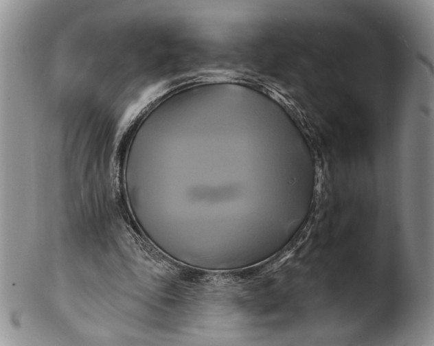 X0000100780343200807101821