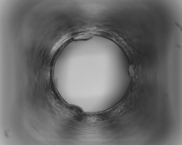 X0000100780344200807101821