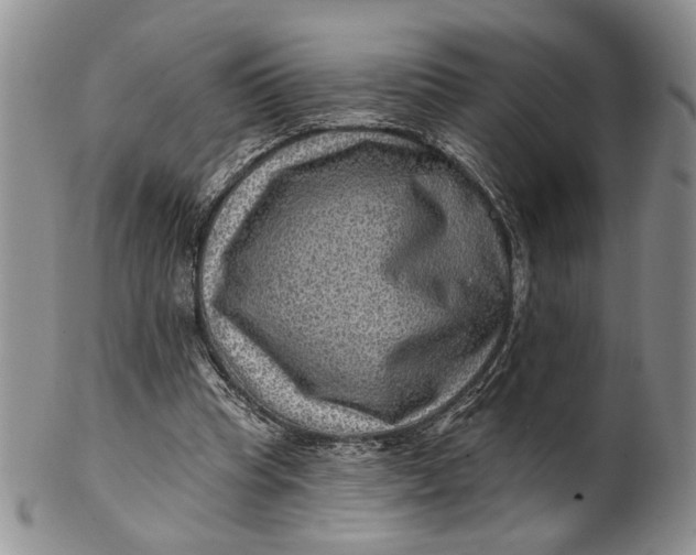 X0000100780345200807101821