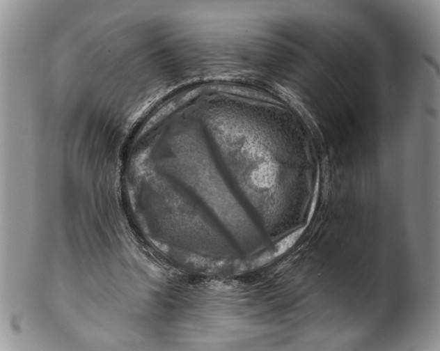 X0000100780346200807101821