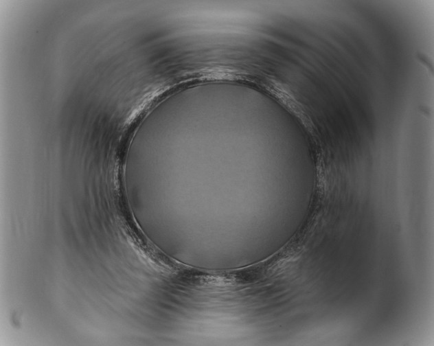 X0000100780347200807101821