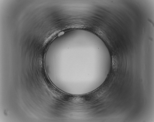 X0000100780348200807101821