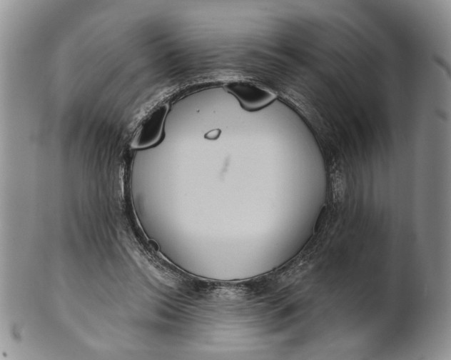 X0000100780350200807101821