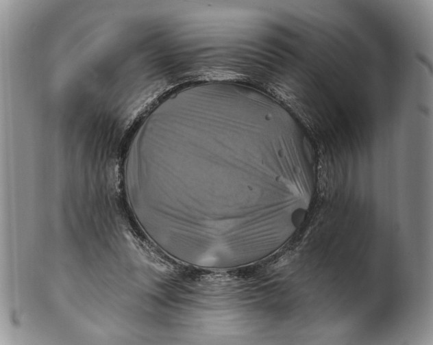 X0000100780351200807101821