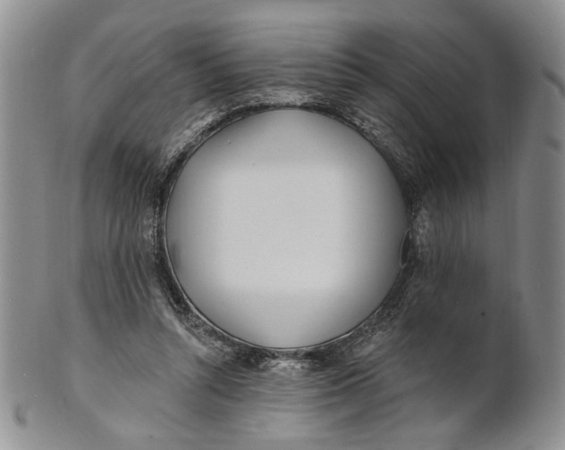 X0000100780352200807101822