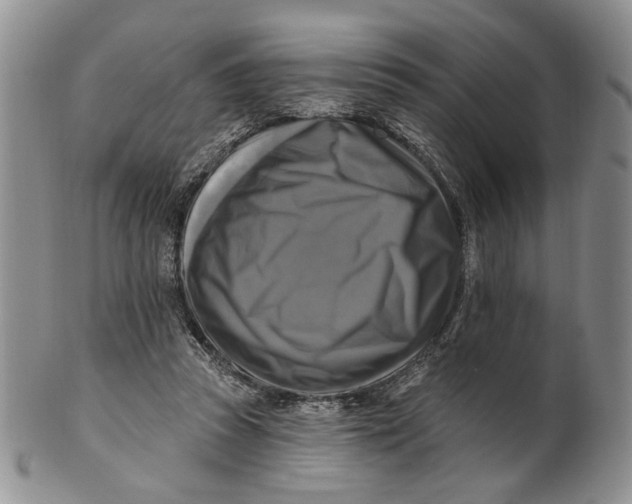 X0000100780353200807101822