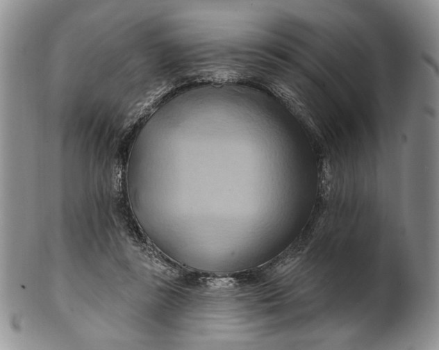 X0000100780355200807101822