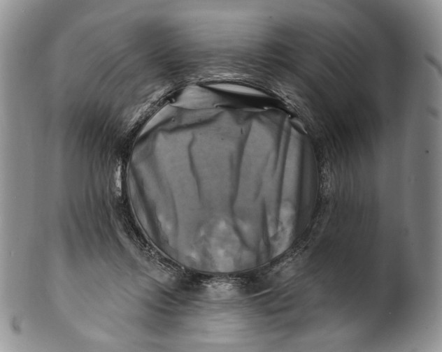 X0000100780358200807101822