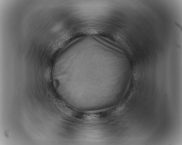 X0000100780359200807101822