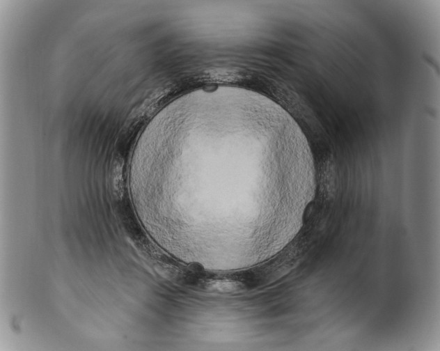 X0000100780360200807101822