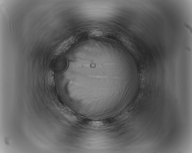 X0000100780361200807101822