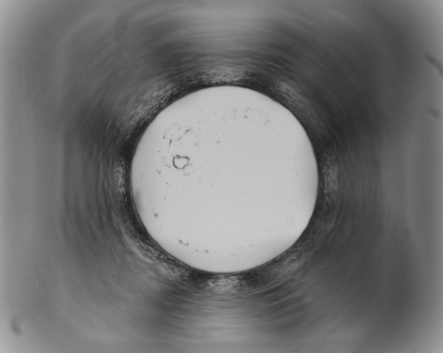 X0000100780362200807101822