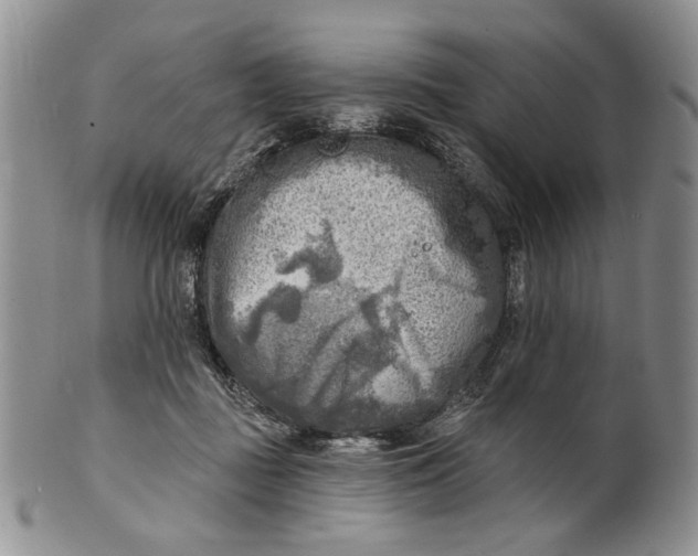 X0000100780363200807101822