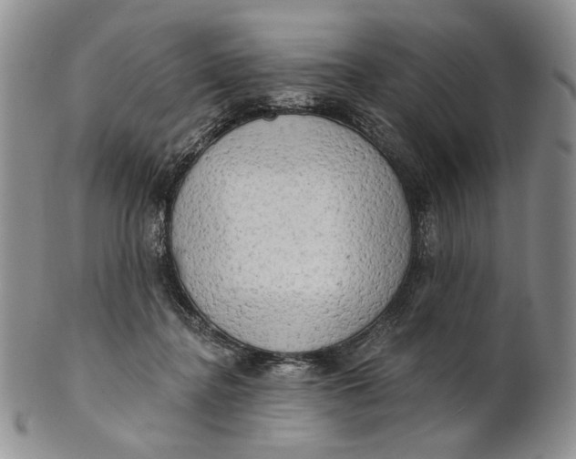 X0000100780364200807101822