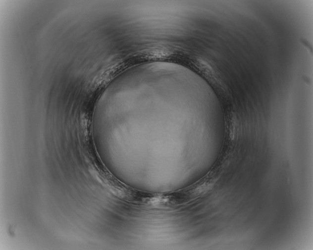 X0000100780366200807101822