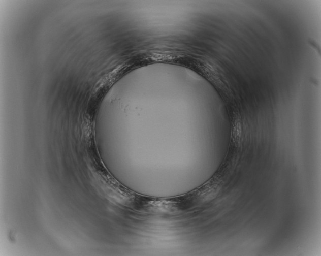 X0000100780367200807101822