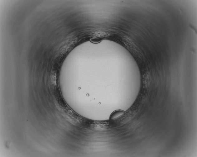 X0000100780368200807101822