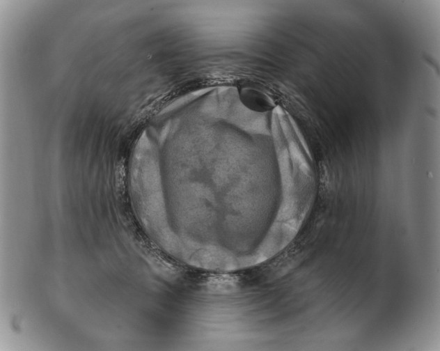 X0000100780369200807101822