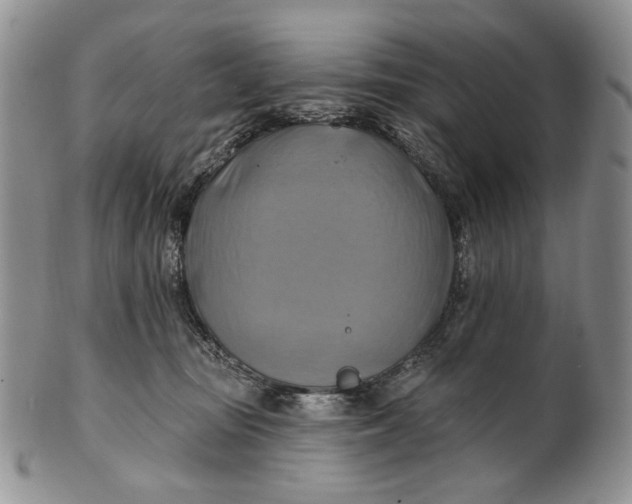 X0000100780371200807101822