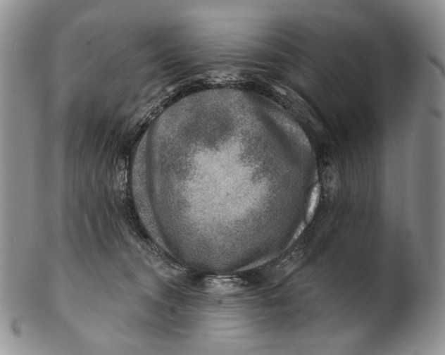 X0000100780372200807101822
