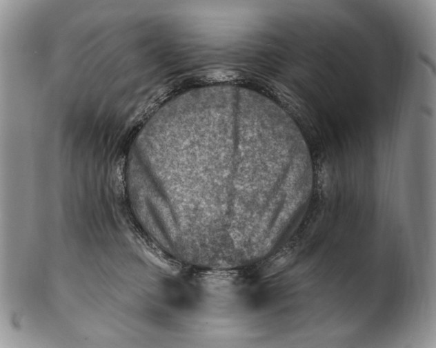 X0000100780373200807101822