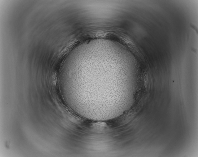 X0000100780374200807101822