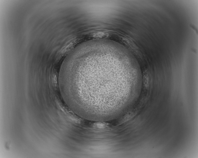 X0000100780375200807101822