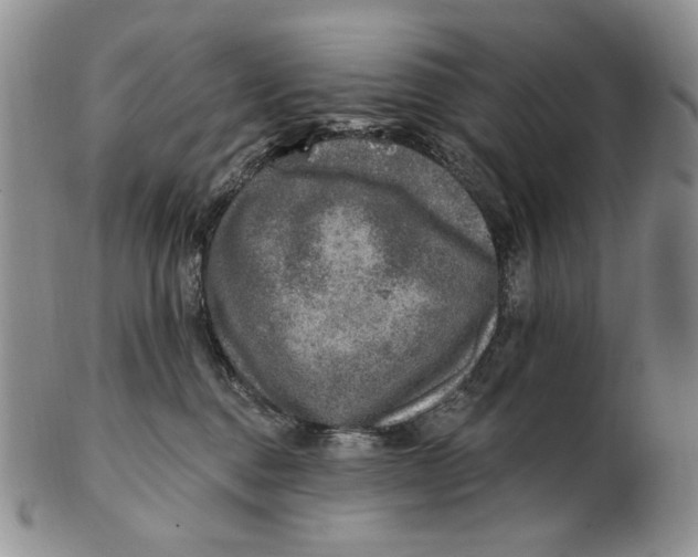 X0000100780376200807101822