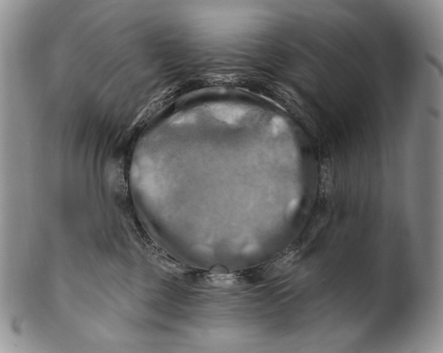 X0000100780377200807101822