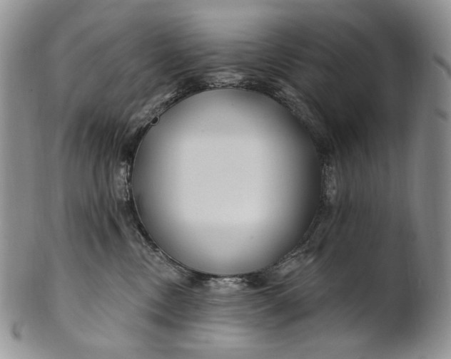 X0000100780378200807101822