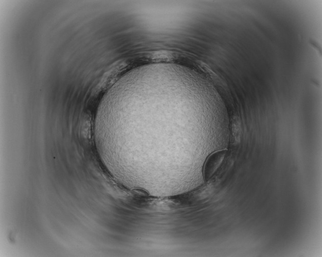 X0000100780379200807101822