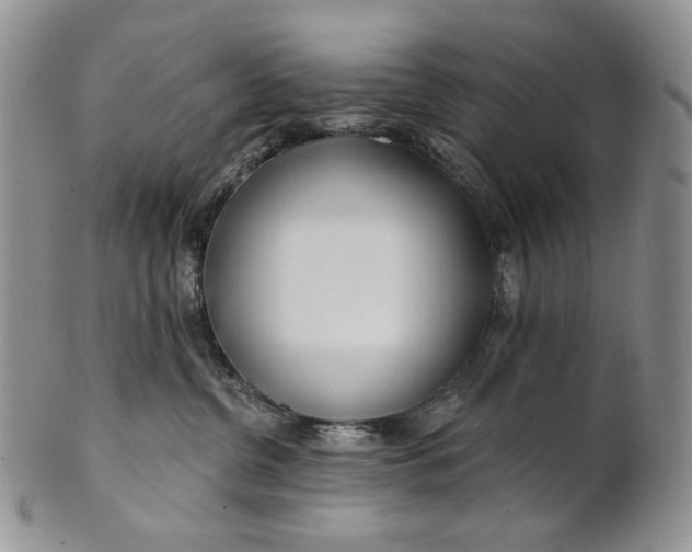 X0000100780380200807101822