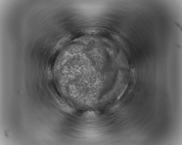 X0000100780381200807101822