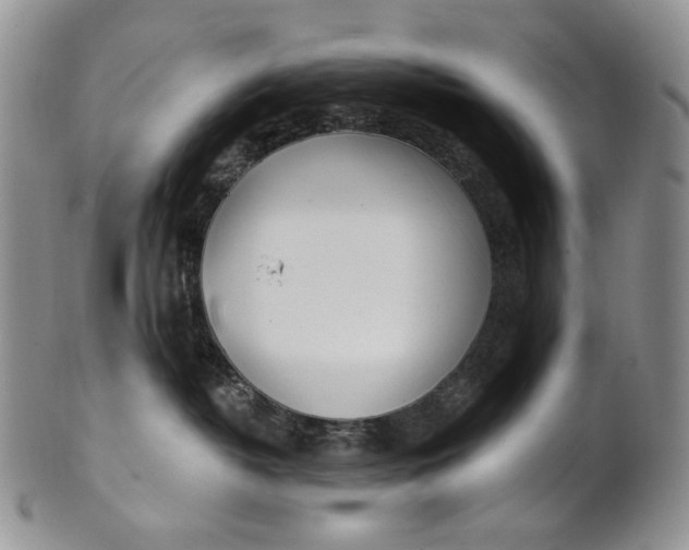 X0000100780382200807101822