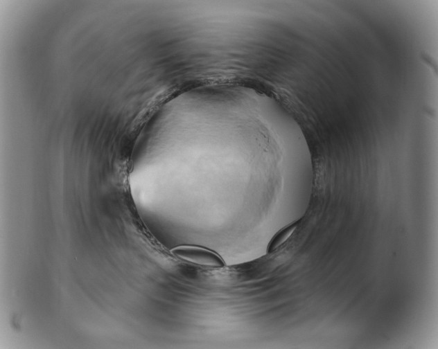 X0000100780383200807101822