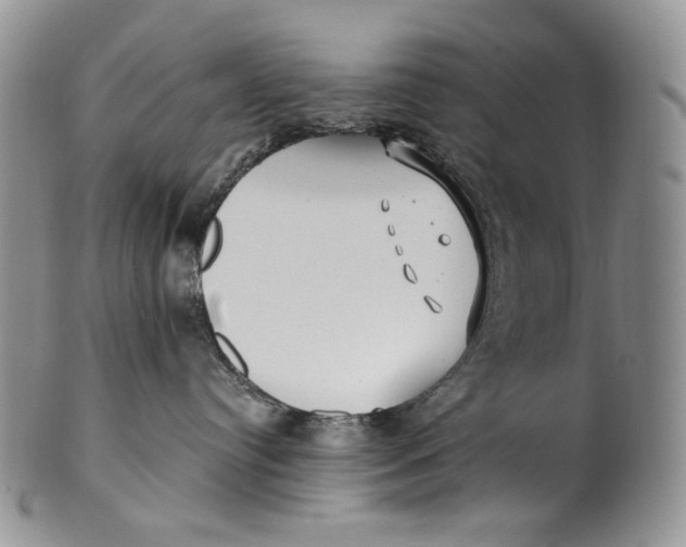 X0000100780384200807101822
