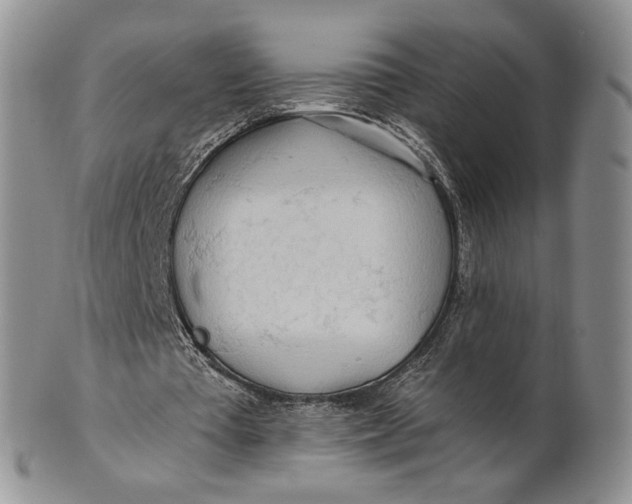 X0000100780385200807101821