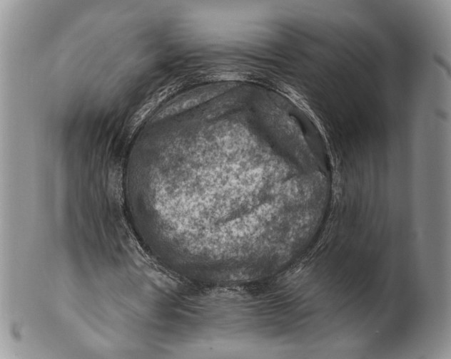 X0000100780386200807101821