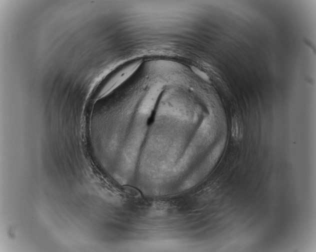 X0000100780388200807101821