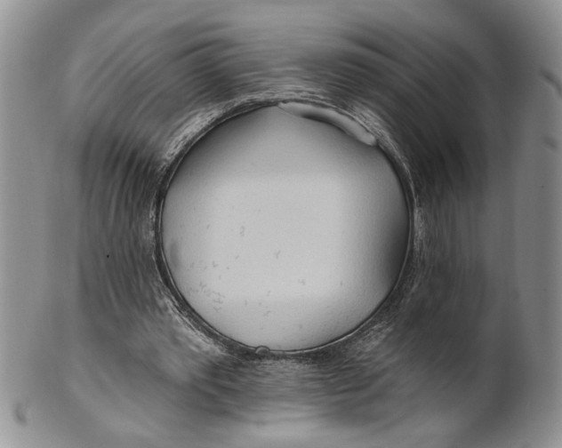 X0000100780389200807101821