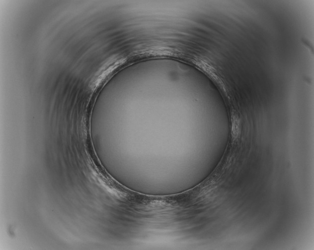 X0000100780390200807101821