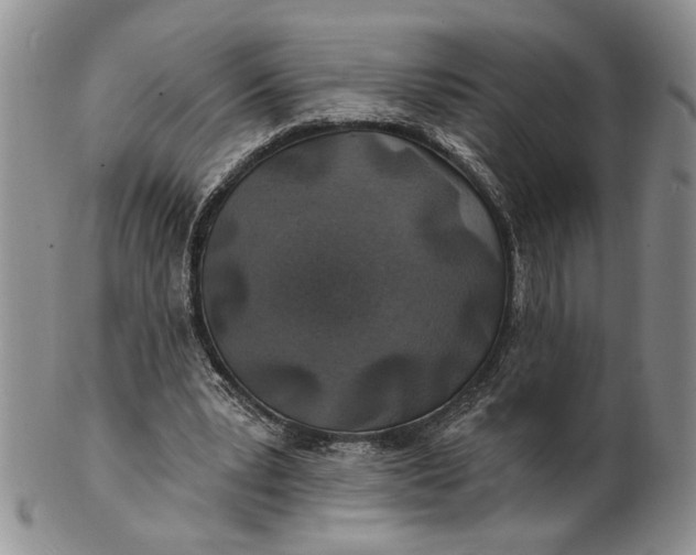 X0000100780391200807101821