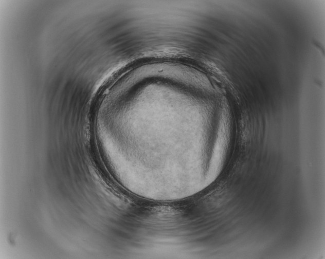 X0000100780392200807101821