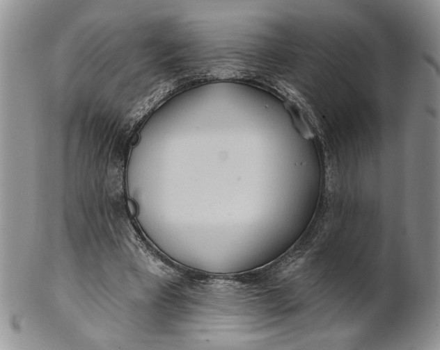 X0000100780393200807101821