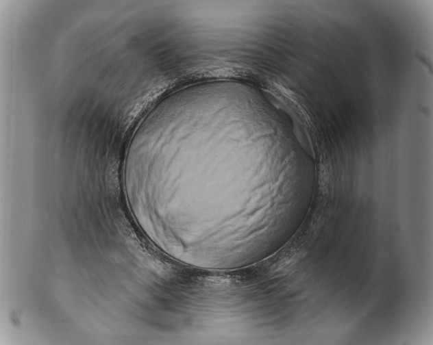 X0000100780394200807101821