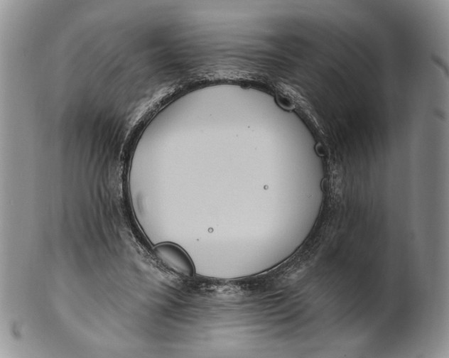 X0000100780395200807101821