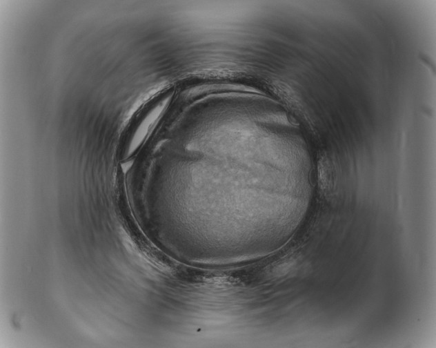 X0000100780396200807101821