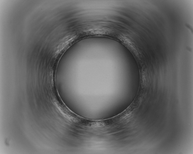 X0000100780398200807101821